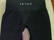 Teveo Shorts - Dresden