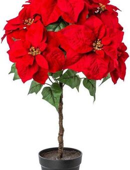 Winterliche Kunstpflanze Weihnachtsdeko Weihnachtsstern, Creativ deco, Höhe 75 cm, Samt-Ausführung