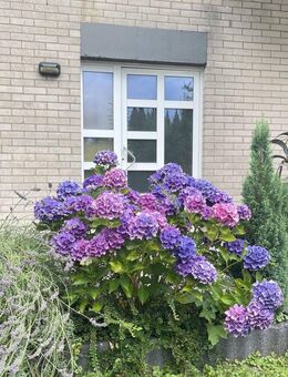 202518.2 Idyllisches Wohnen mit Garten im citynahen Grünen in stilvollem Familienhaus - Odenthal