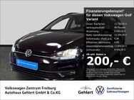 VW Golf Variant, 1.6 TDI, Jahr 2019 - Freiburg (Breisgau)