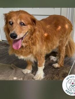 Pi: Liebevolle Seniorin - Kirchzell