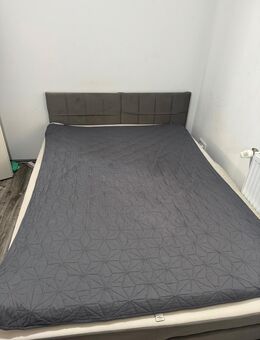 VidaXXl Bett 140x160 - Neustadt (Weinstraße)