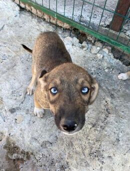 Mathilda🩷 - Markkleeberg