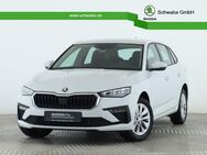 Skoda Scala, 1.5 TSI Selection R, Jahr 2024 - Gersthofen