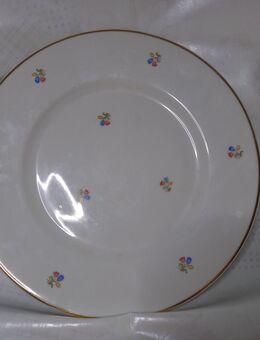 Essteller, rund 25 cm Hutschenreuther Porzellan ?, Blumenmuster - Karlsruhe
