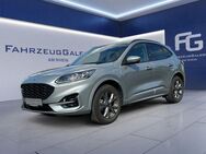 Ford Kuga Plug-In Hybrid ST-Line X ACC BLIS Spurass - Neuss