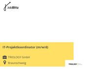 IT-Projektkoordinator (m/w/d) - Braunschweig