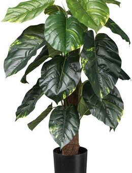Künstliche Zimmerpflanze Philodendron Scandens Grünpflanze, Creativ green, Höhe 90 cm, mit Kokosfasern am Stamm