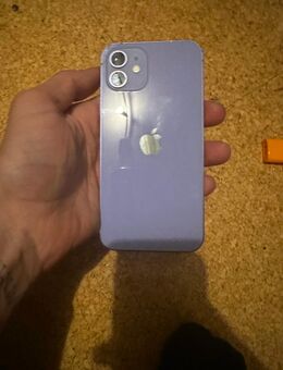 I Phone 12 128 gb nur Abholung - Rülzheim