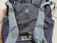 Jack Wolfskin Rucksack Moab Jam 24 - Mainz