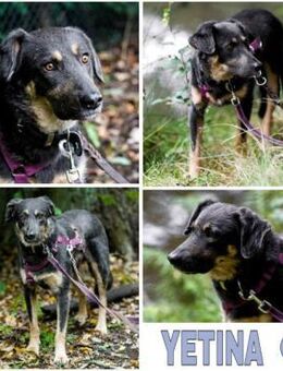 YETINA -möchte ankommen- - Duisburg