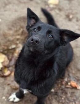 Zauberhafte, liebe Heyhey - Kallmünz