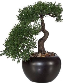 Kunstbonsai Bonsai Zeder im Keramiktopf Bonsai Zeder, Creativ green, Höhe 25 cm