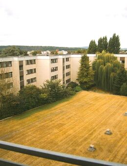 METEOR IMMOBILIEN : Schöne Nordstadtlage - natur- und zentrumsnah - Hameln