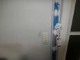 verkaufe Duschrollo neu falbig in 08223