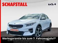 Kia - Bergheim (Nordrhein-Westfalen)