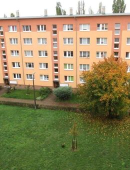 frisch renovierte 2 Raumwohnung in Eutritzsch - Leipzig