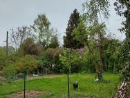 Grundstück Garten zu vermieten zwecks Erholung bzw. Urlaub - Falkensee
