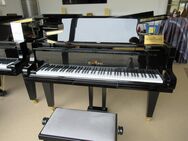 Schimmel Gebrauchtflügel/klavier Classic 174 S schwarz poliert - Nideggen