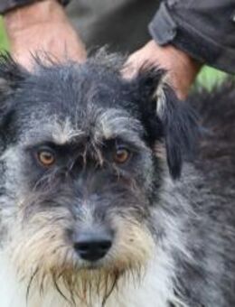 Pepa - kinderlieb u. unkompliziert - Lohra