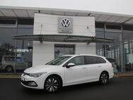 VW Golf Variant, 2.0 TDI MOVE MOVE, Jahr 2024 - Mücke