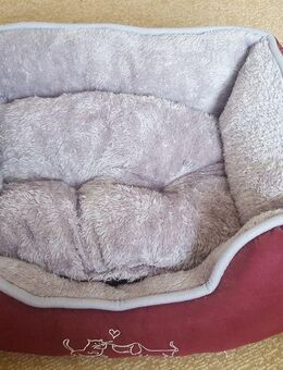Hundebett - Sarstedt