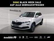 Skoda Karoq, 1.5 TSI Drive 125 Varioflex, Jahr 2020 - Bad Arolsen