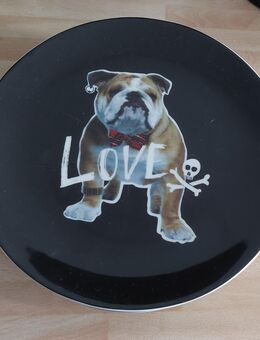 Desserts Tellern "Bulldog " - Rheda-Wiedenbrück
