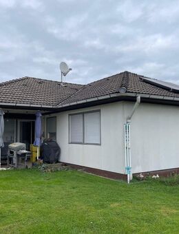 Großzügiger Bungalow mit Einliegerwohnung, Garten und Pool in Reichelsheim - Reichelsheim (Wetterau)