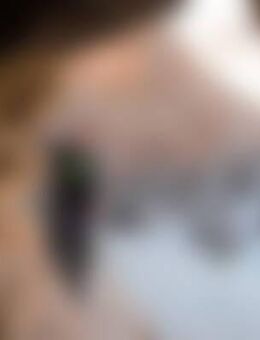 tom*** - Grevesmühlen