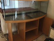 Juwel Aquarium - Herne