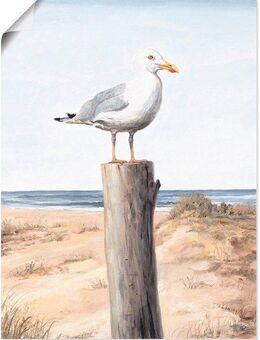Artland Wandbild Möwe, Vögel (1 St), als Alubild, Outdoorbild, Leinwandbild, Poster, Wandaufkleber