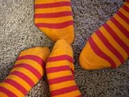 Socken_Duo hat Ringelsocken für dich!!! - Zwickau