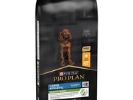 PURINA PRO PLAN Large Athletic Puppy Healthy Start - Sparpaket: 2 x 12 kg
