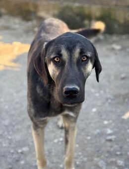 Avani will die Welt entdecken - Beckingen