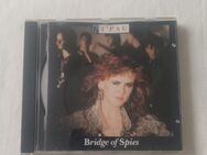 T'Pau - Bridge Of Spies - CD - Essen