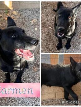 Carmen sucht sportliche Menschen - Lübeck