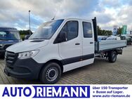 Mercedes Sprinter, 317 DOKA 3 Seiten kipper RWD, Jahr 2023 - Cloppenburg