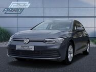 VW Golf, 1.5 TSI Life, Jahr 2024 - Griesheim