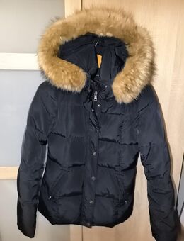 Hallhuber Dauenjacke in Gr 34 - Bopfingen