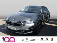 Skoda Octavia, 2.0 TDI 2 0 EU6e Combi Selection Licht und Sicht-Paket, Jahr 2024 - Bad Kreuznach