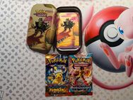 Pokemon Karten Metallbox Zufällig + 2 Booster Packs Deutsch - Wiesbaden