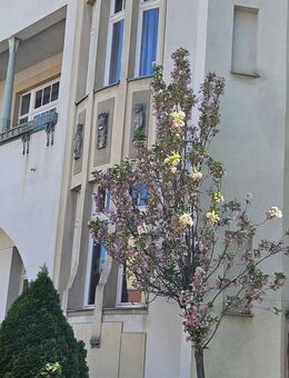 Ihr neues Zuhause in Bad Kissingen: Charme trifft Komfort! - Bad Kissingen