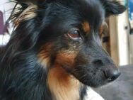 Die kleine Akio sucht ihre Menschen - München