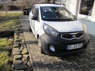 Kia Picanto Attract - Eppendorf