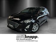 Ford Focus Turnier Cool & Connect S Navi 360 Kamera LED Dyn. Kurvenlicht ACC Apple CarPlay - Weinheim