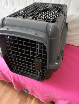 Hunde Transportbox - Brühl (Nordrhein-Westfalen)
