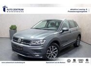 VW Tiguan Comfortline DSG AHK CAM LED NAVI SHZ PLA - Wardenburg