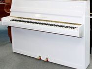 Klavier Grotrian-Steinweg 110 weiß poliert, Nr.113499, 5 Jahre Garantie - Egestorf