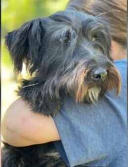 Myke LM - Verspielter Jungspund - Neustadt (Rübenberge)